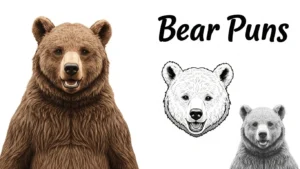 bear puns